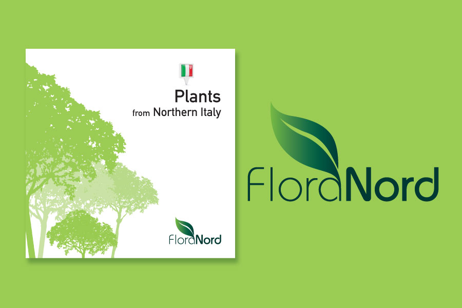 Immagine Coordinata_Floranord